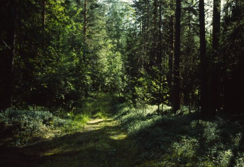 &nbsp;
