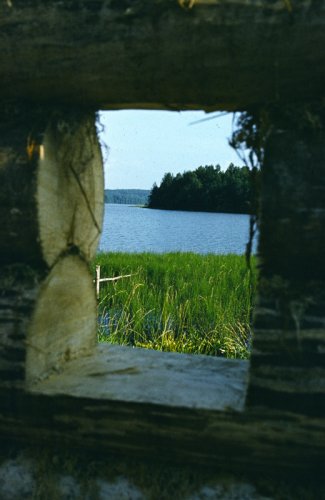 &nbsp;